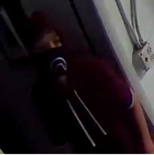 Short Hills theft suspect 2